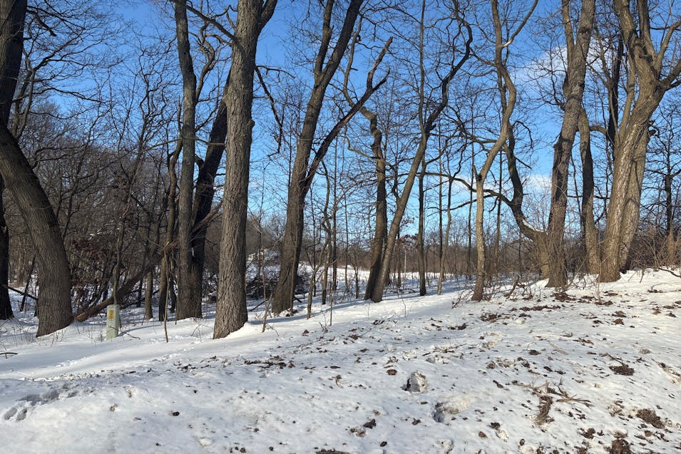 14460 Burchette Rd Plainwell, MI 49080, Barry County