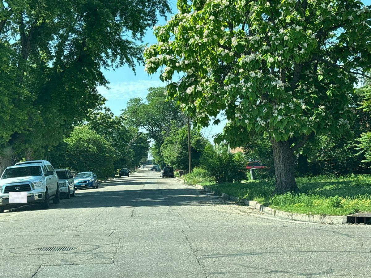 Palmer Ave, Pueblo, CO 81004