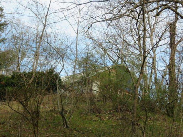 335 Bear Cage Rd Roan Mountain, TN 37687, Carter County