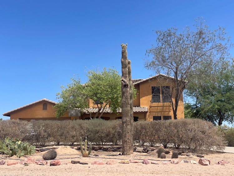 28305 N 225th Ave Wittmann, AZ 85361, Maricopa County