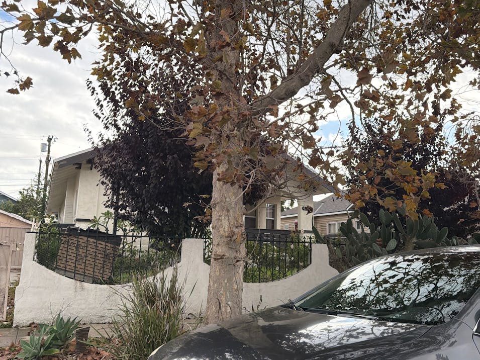 4330 Walton Ave Los Angeles, CA 90037, Los Angeles County