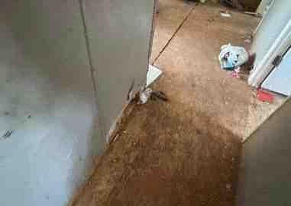 11306 N 1917 Rd Sayre, OK 73662, Beckham County