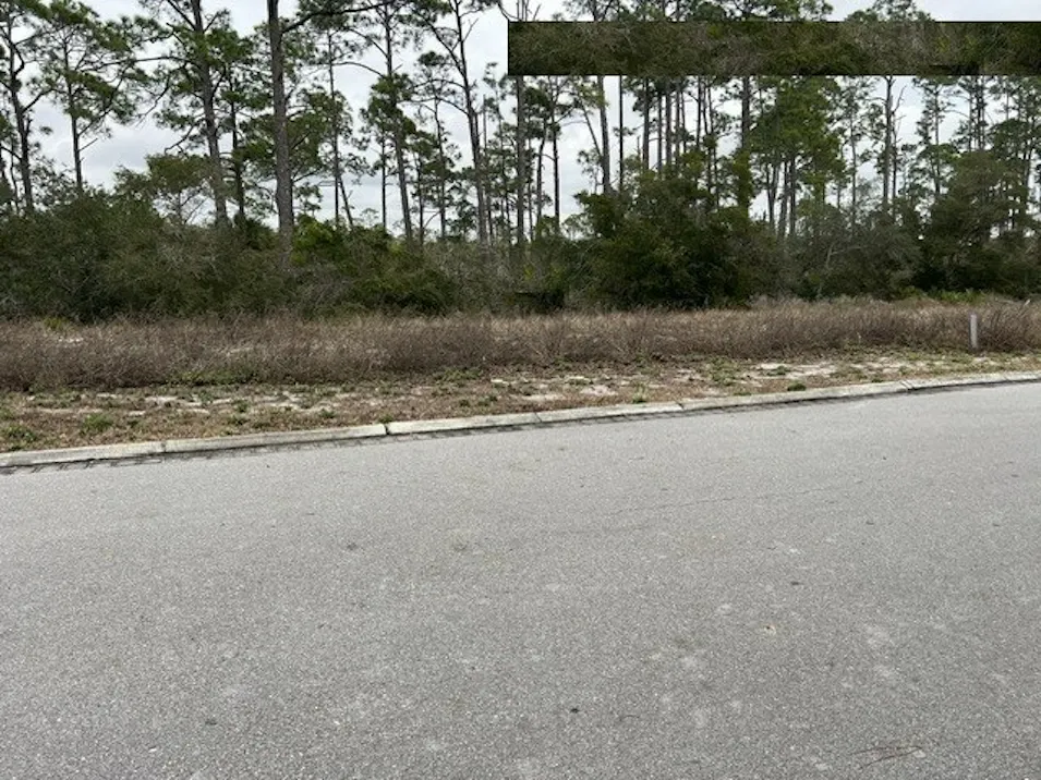 Lot 3 Tidewater Dr/l Port Saint Joe, FL 32456, Bay County