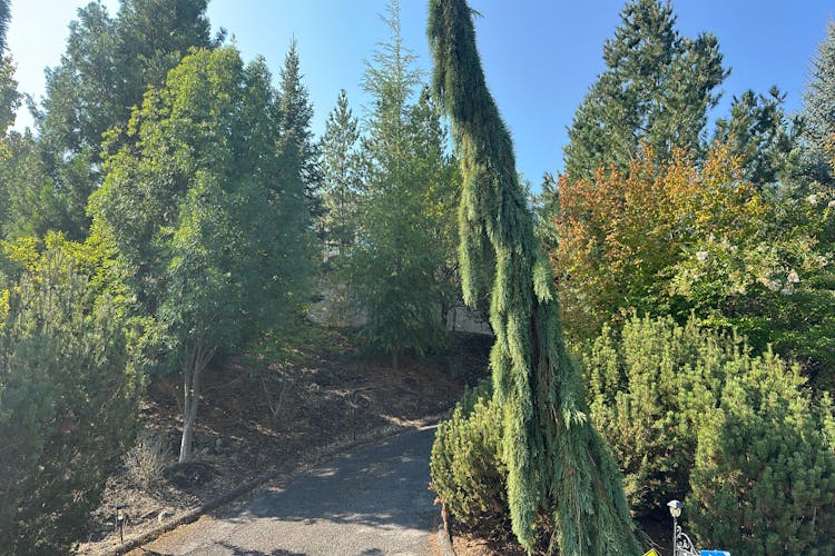 104 Monterey Dr Medford, OR 97504, Jackson County