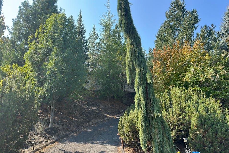 104 Monterey Dr Medford, OR 97504, Jackson County