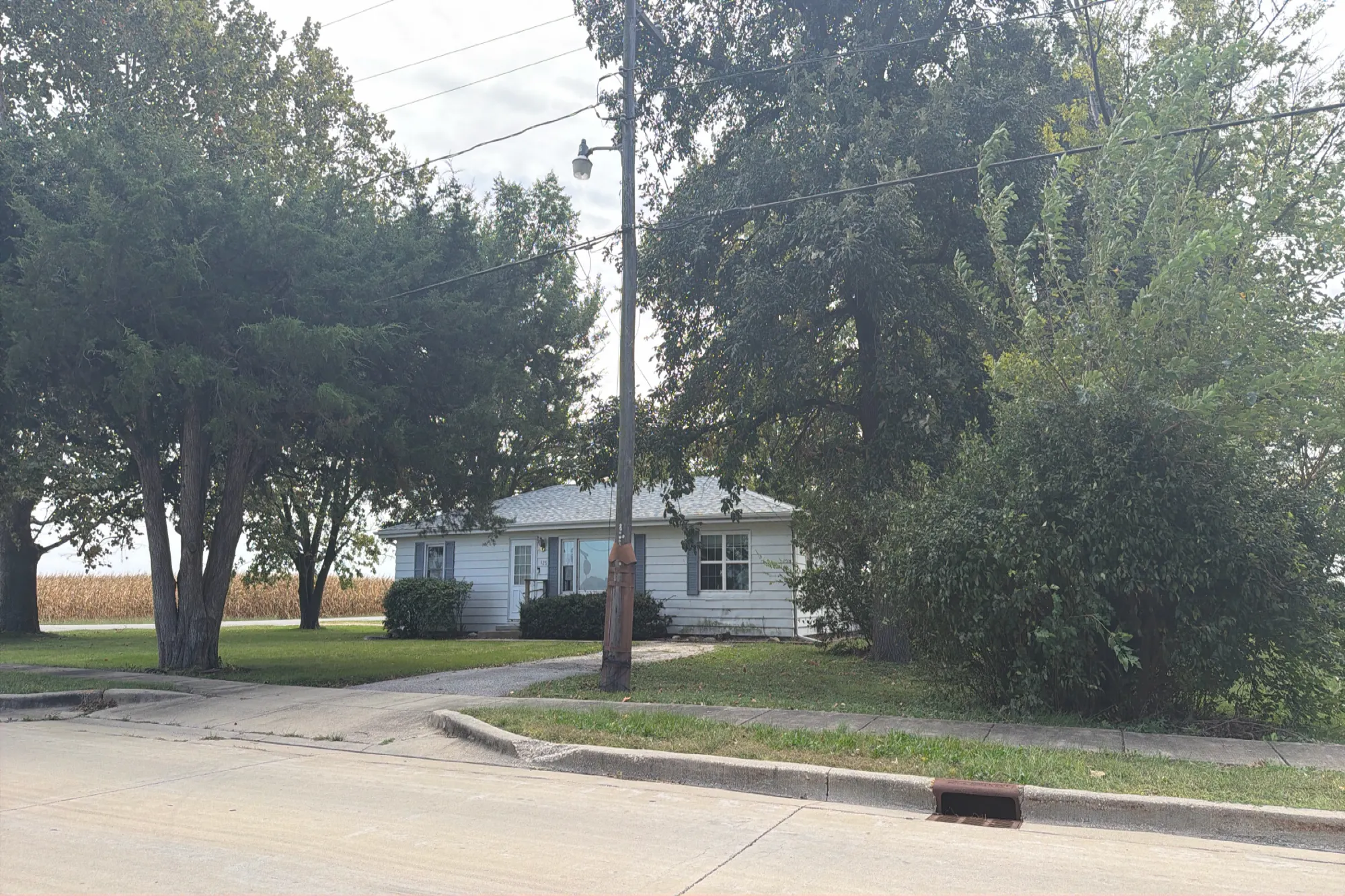 South St, Oreana, IL 62554 #1