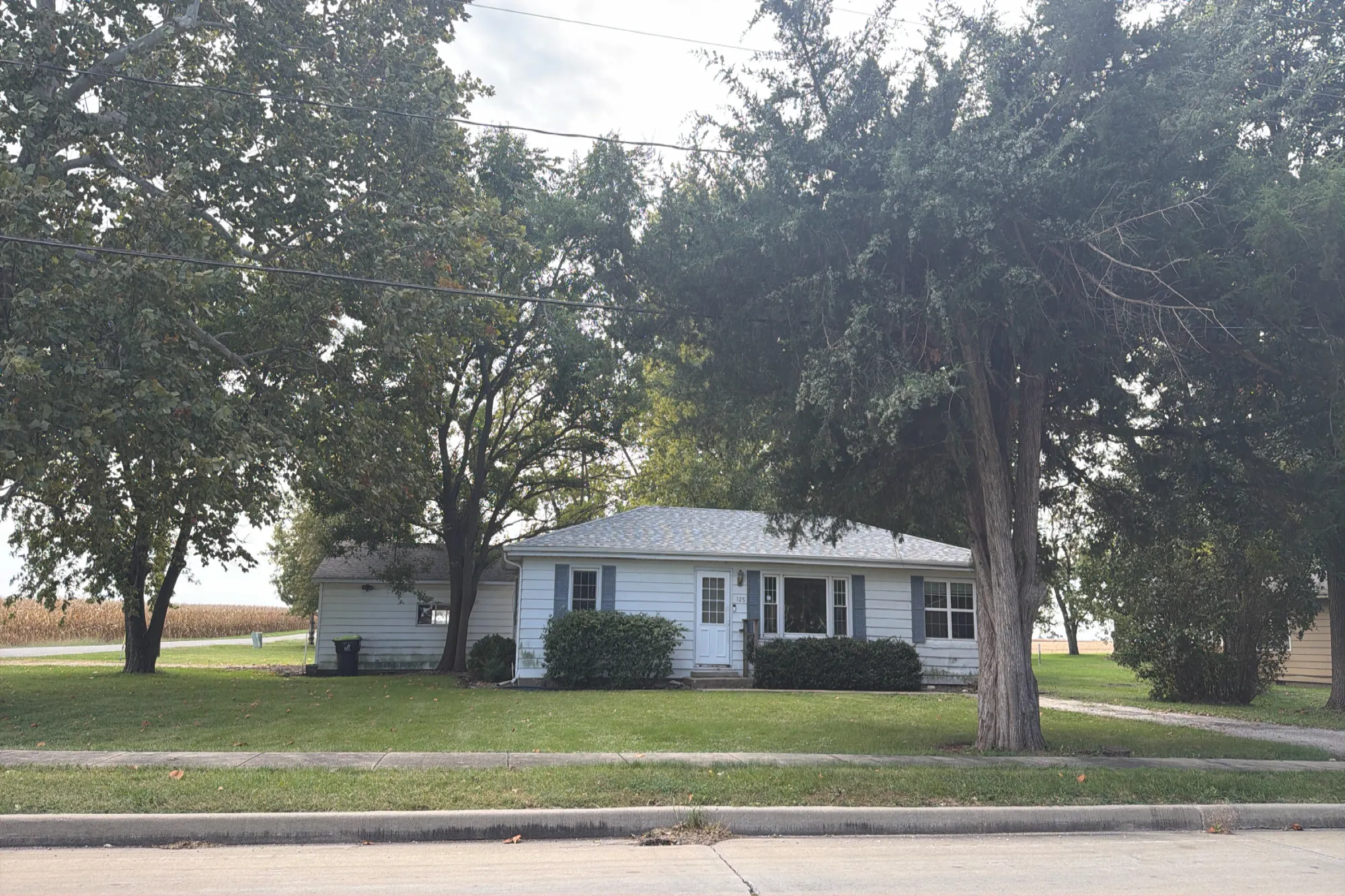 South St, Oreana, IL 62554