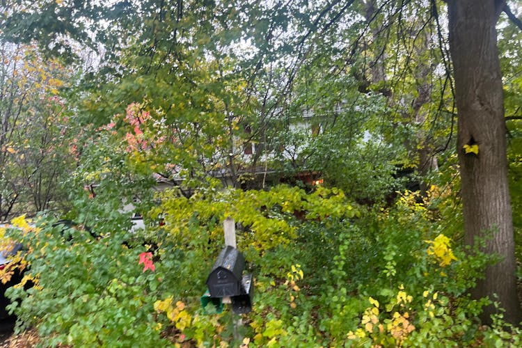 5623 Lakeland Rd Minnetonka, MN 55345, Hennepin County