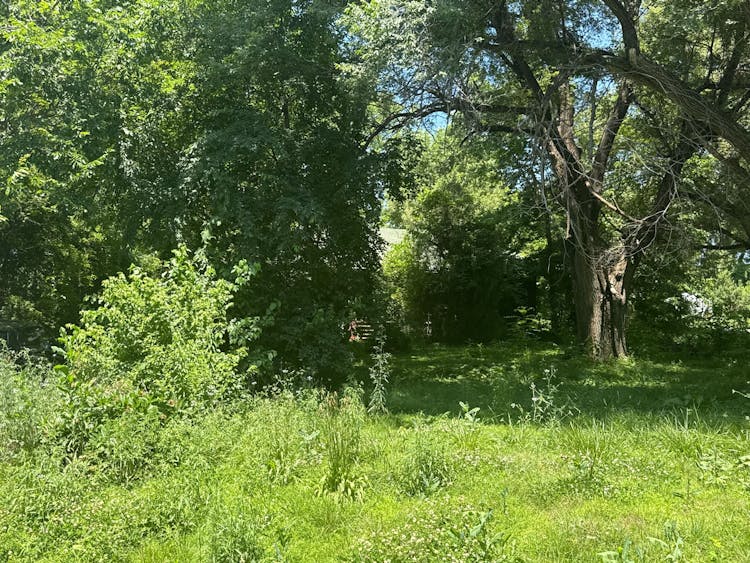 3941 Easton Road Saint Joseph, MO 64503, Buchanan County