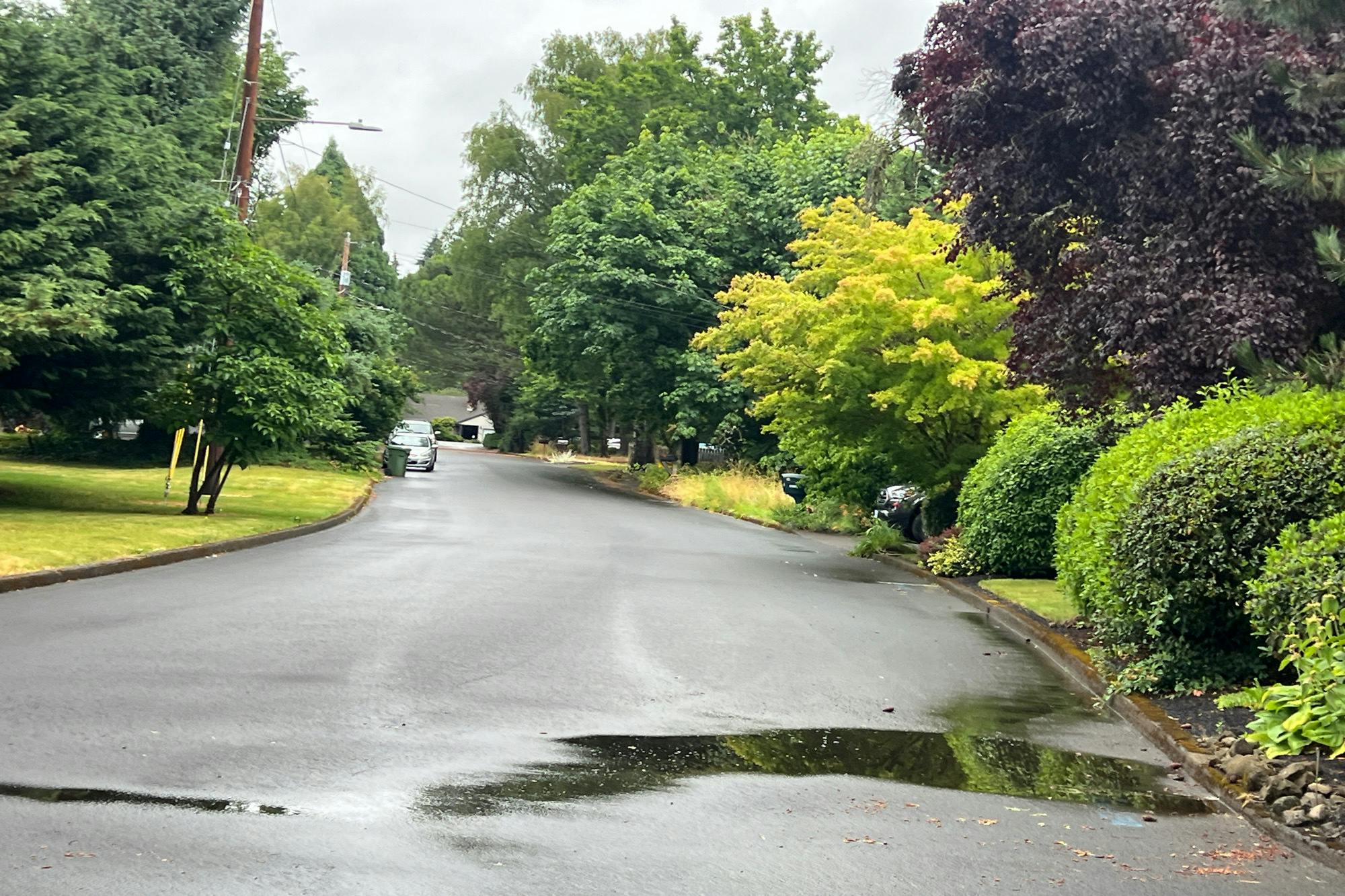 Dogwood Ct, Lake Oswego, OR 97035