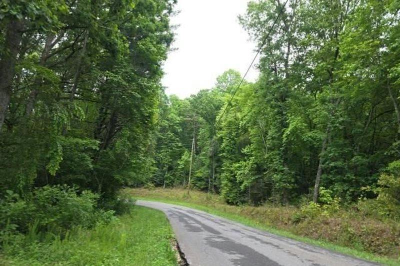 Rackley Rd, Ellijay, GA 30536 #1