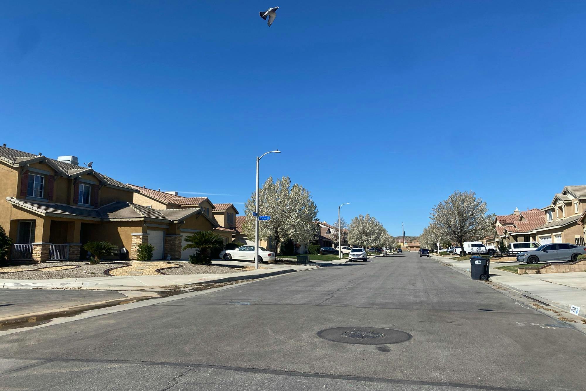 Amargosa Dr, Palmdale, CA 93551