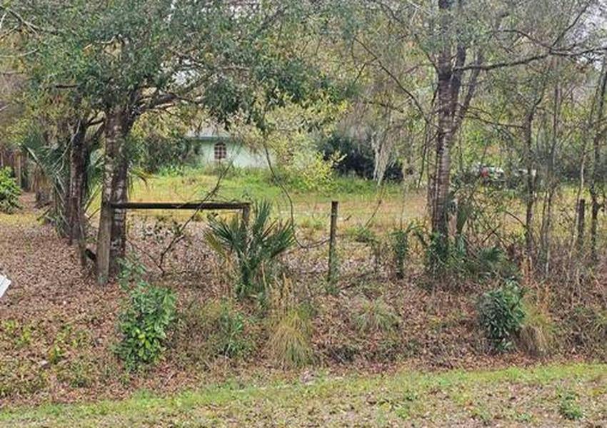 Riverdale Rd, Avon Park, FL 33825 #1