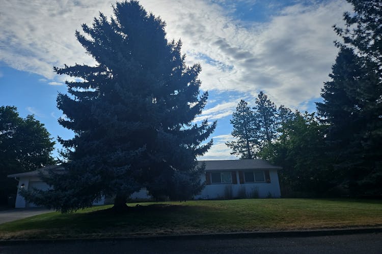 3515 S Woodward Rd Spokane Valley, WA 99206, Spokane County