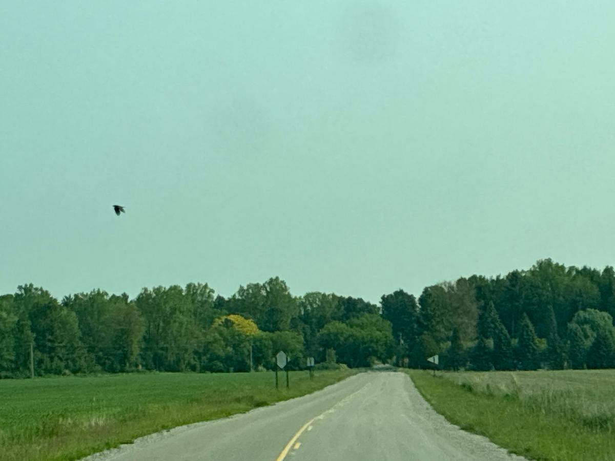Langdon Rd, Standish, MI 48658