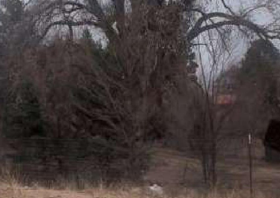 1918 Evergreen Dr Santa Cruz, NM 87567, Santa Fe County