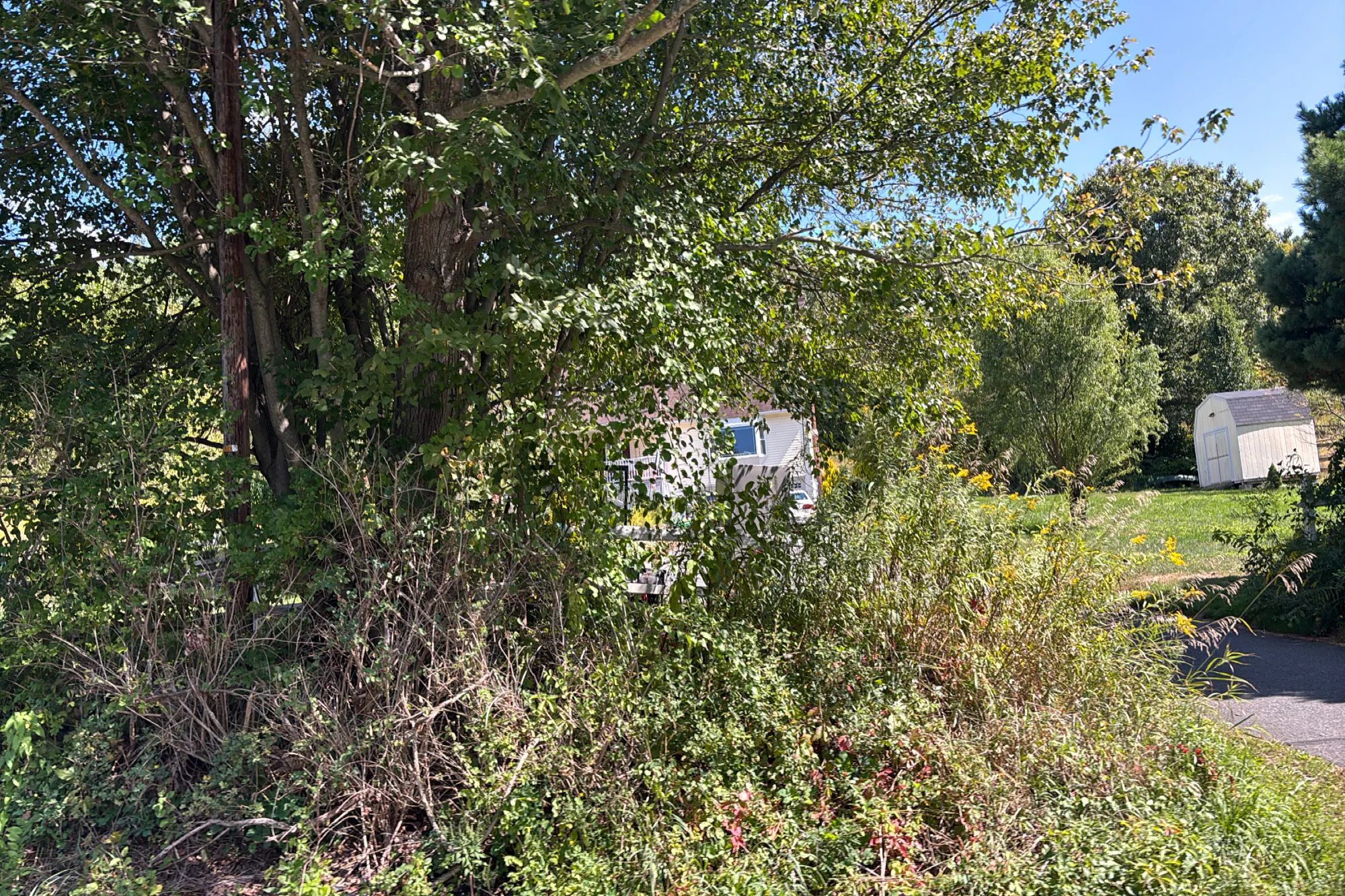 Washington Rd, Brimfield, MA 01010 #1