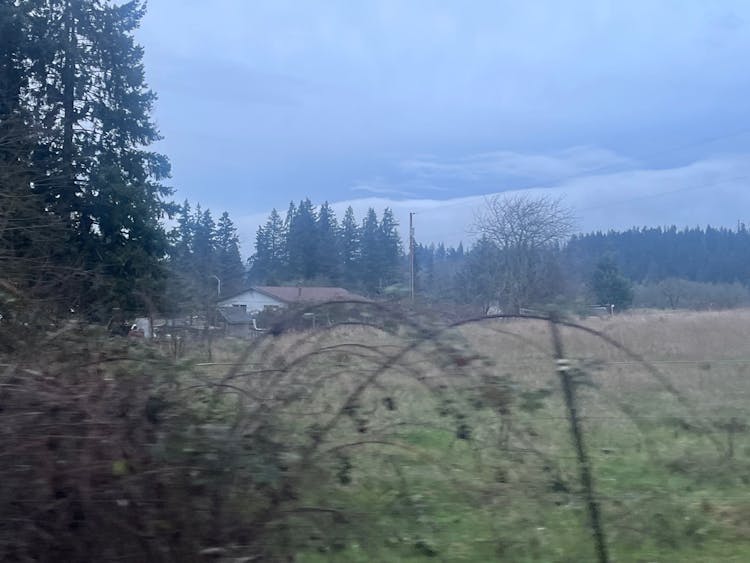 34678 S Sawtell Road Molalla, OR 97038, Clackamas County