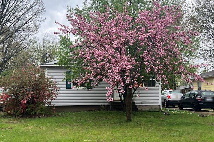 244 Majestic St SE Kentwood, MI 49548-5996, Kent County