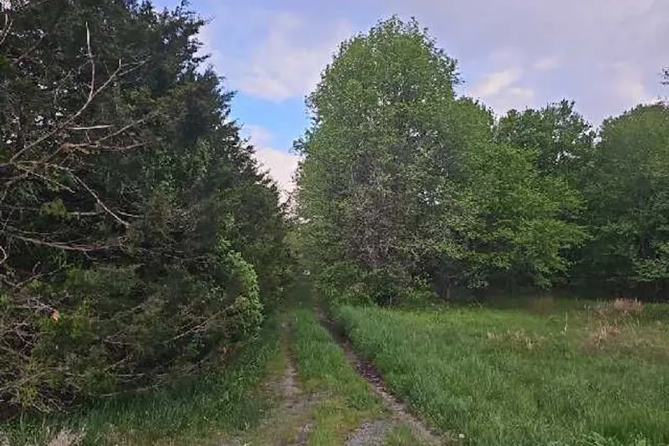 1103 Barclay Rd Barclay, MD 21607, Queen Annes County