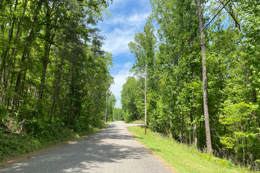 210 Shelterwood Cir