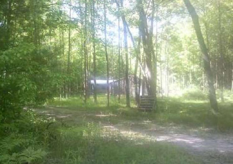 11173 N Lakeside Trl Shepherd, MI 48883, Isabella County