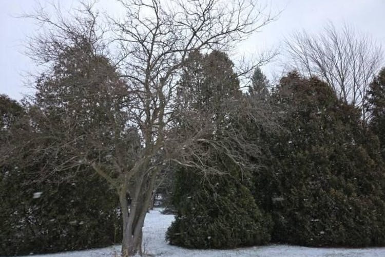 2342 Fitchville River Road Wakeman, OH 44889, Huron County