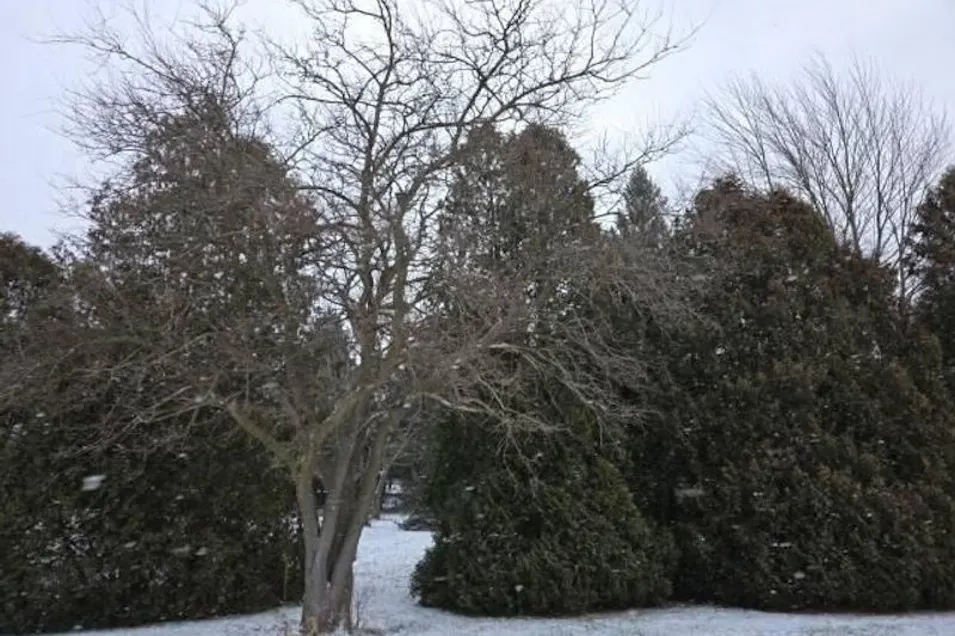 2342 Fitchville River Rd Wakeman, OH 44889, Huron County