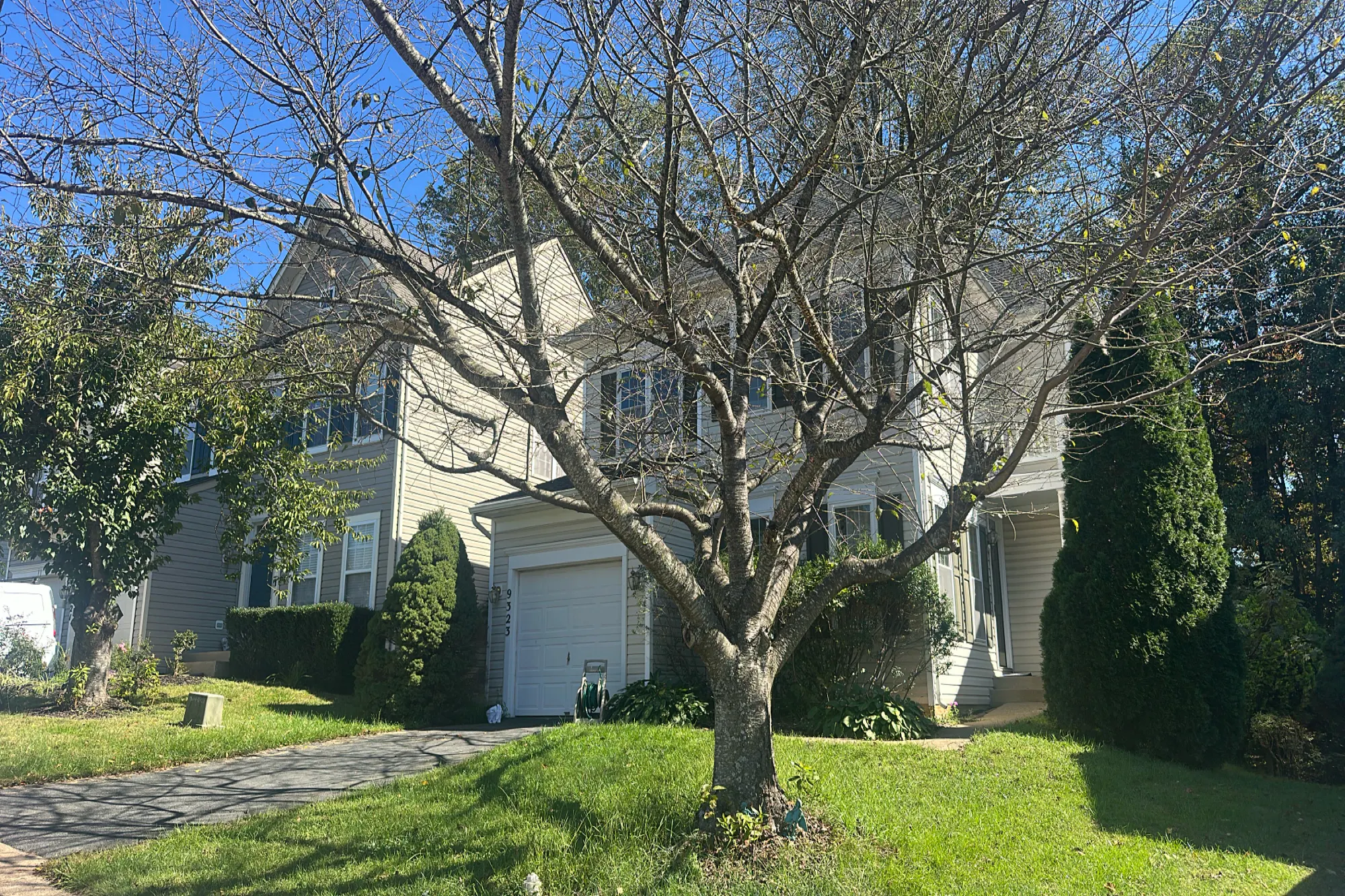 Hedgeford St, Manassas Park, VA 20111 #1