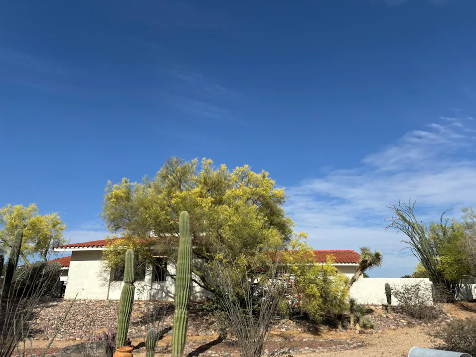 8331 N Rose Marie Ln Tucson, AZ 85742, Pima County
