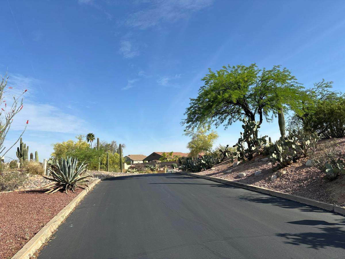 Rose Marie Ln, Tucson, AZ 85742