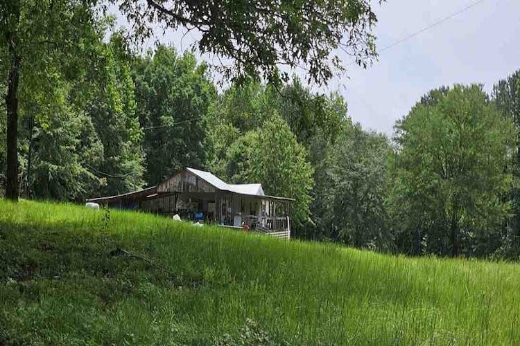 1197 County Rd 60 Knoxville, AL 35469, Greene County