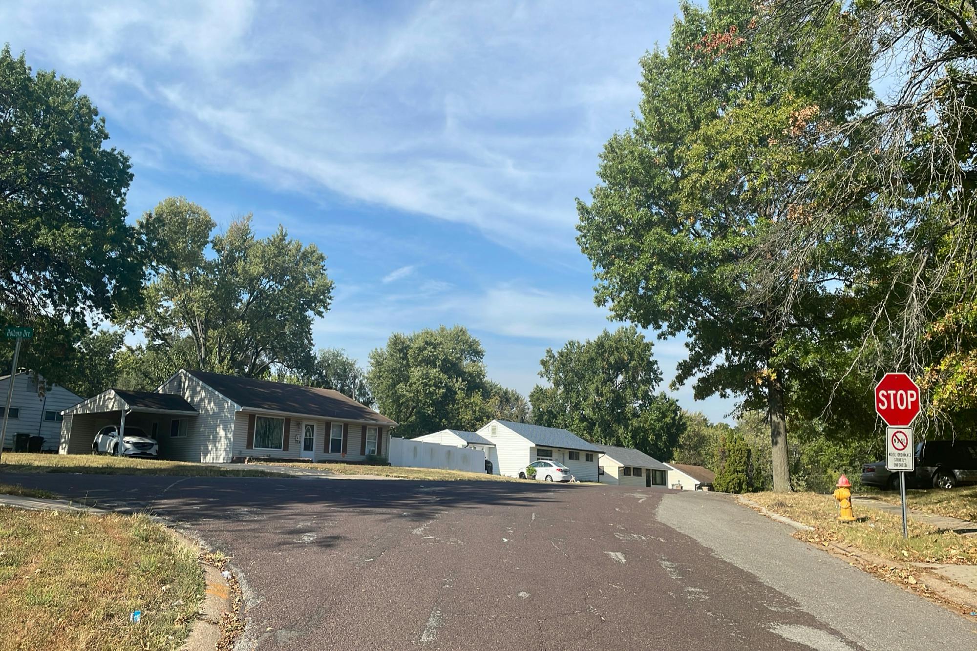 Holborn Dr, Saint Louis, MO 63121