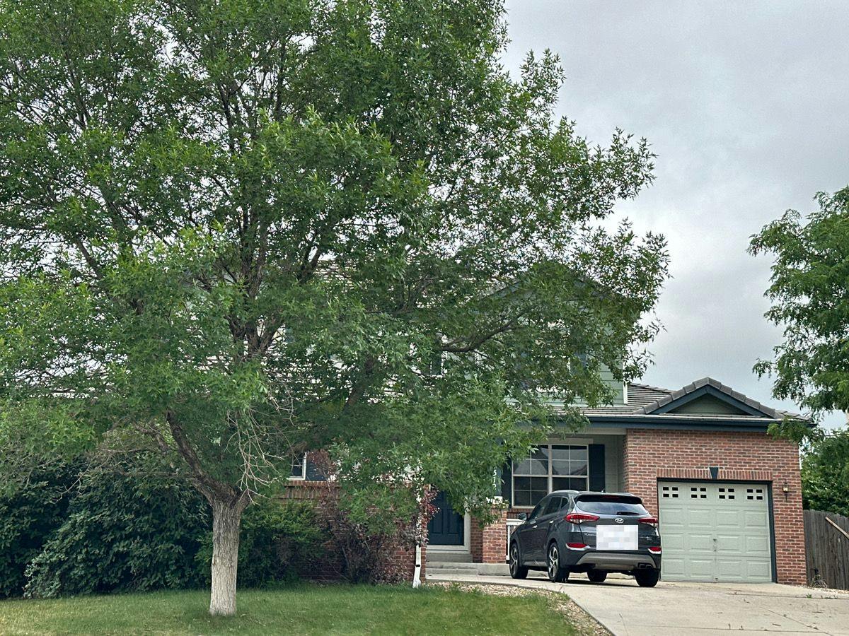129th Pl, Thornton, CO 80602