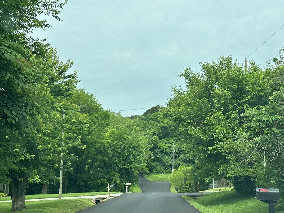 Garden View Ln, Knoxville, TN 37912