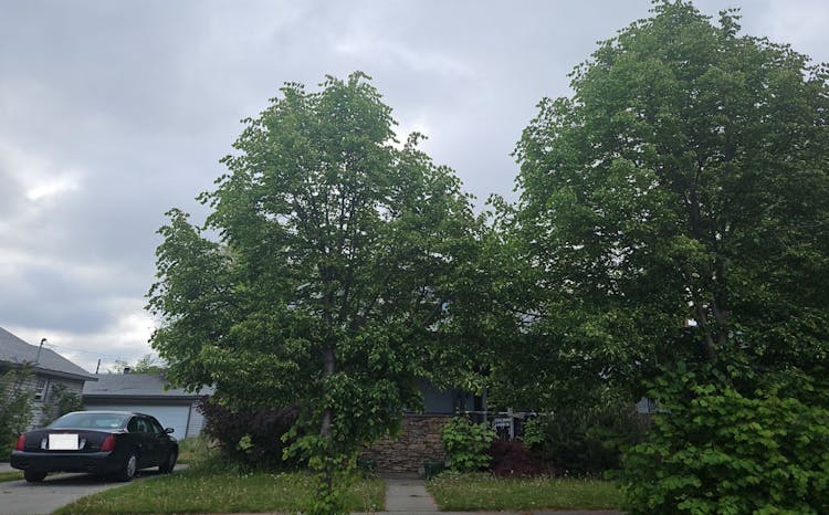 2518 N Calispel St Spokane, WA 99205, Spokane County