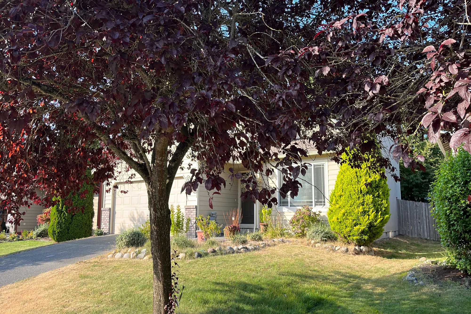 189th St, Puyallup, WA 98375 #1