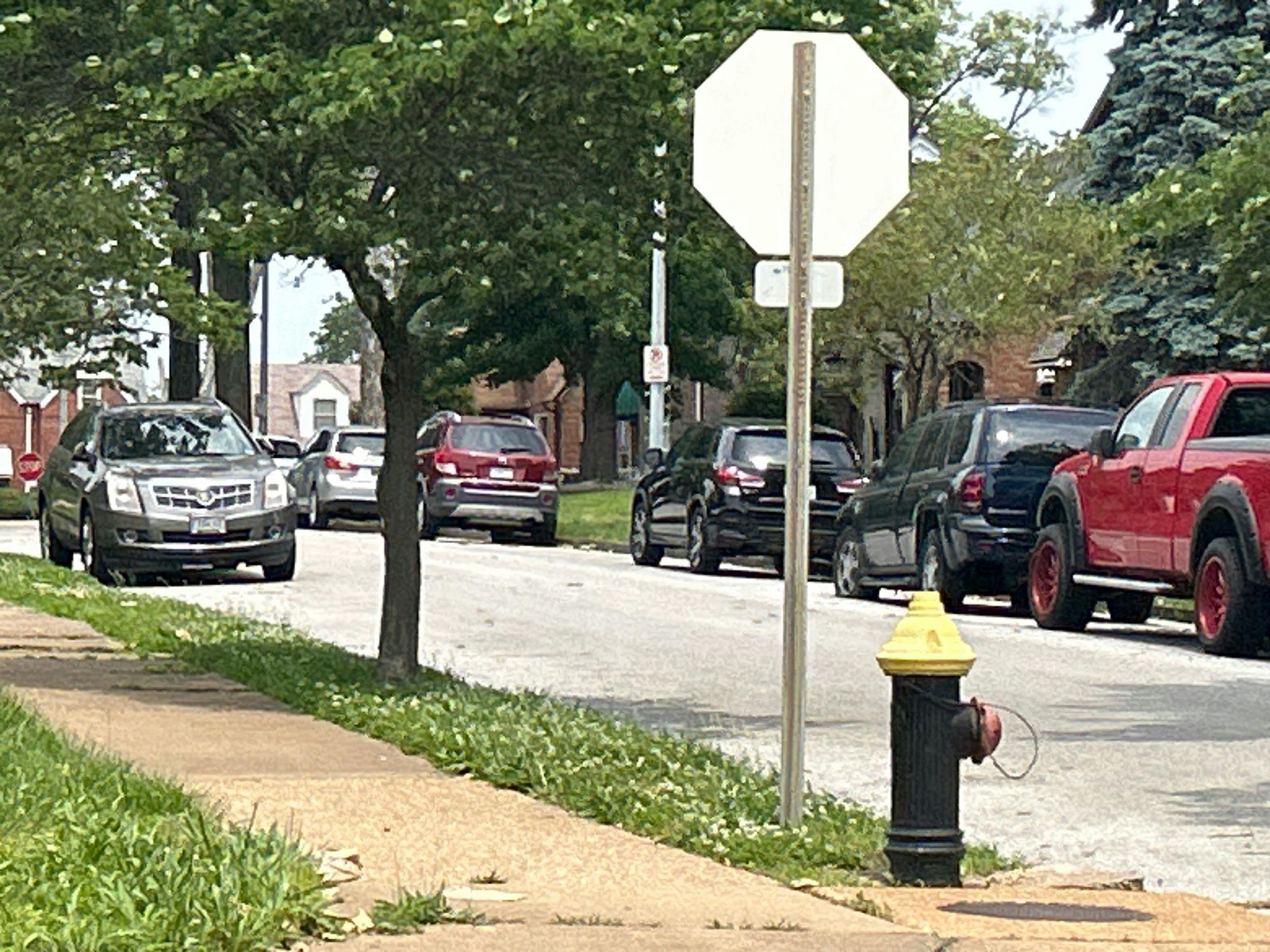 Partridge Ave, Saint Louis, MO 63147