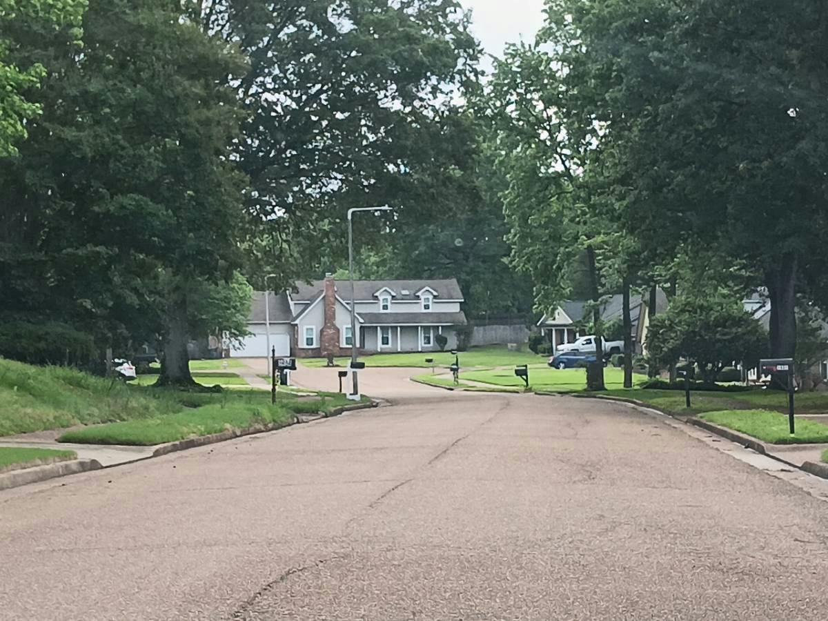 Pamela Ann Dr, Bartlett, TN 38135