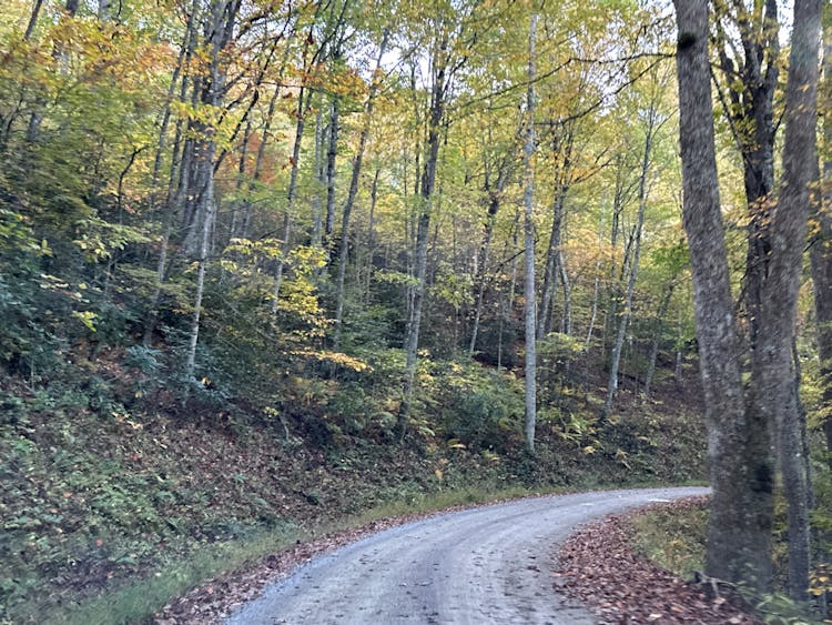 389 Cherokee Cove Private Drive Mountain City, TN 37683, Johnson County