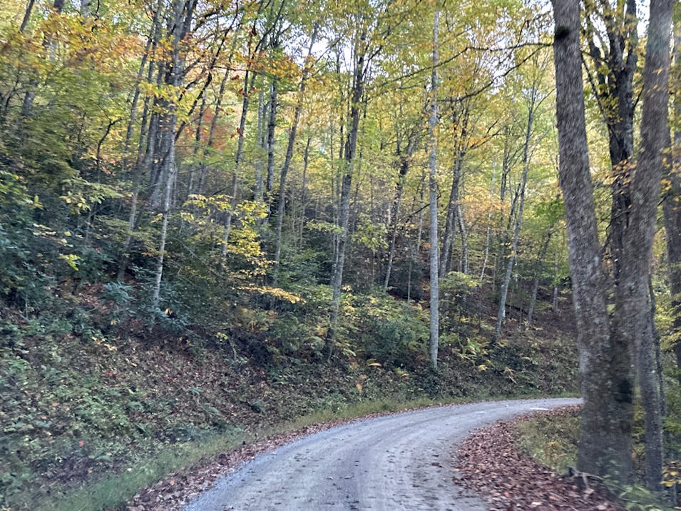 389 Cherokee Cove Private Drive Mountain City, TN 37683, Johnson County