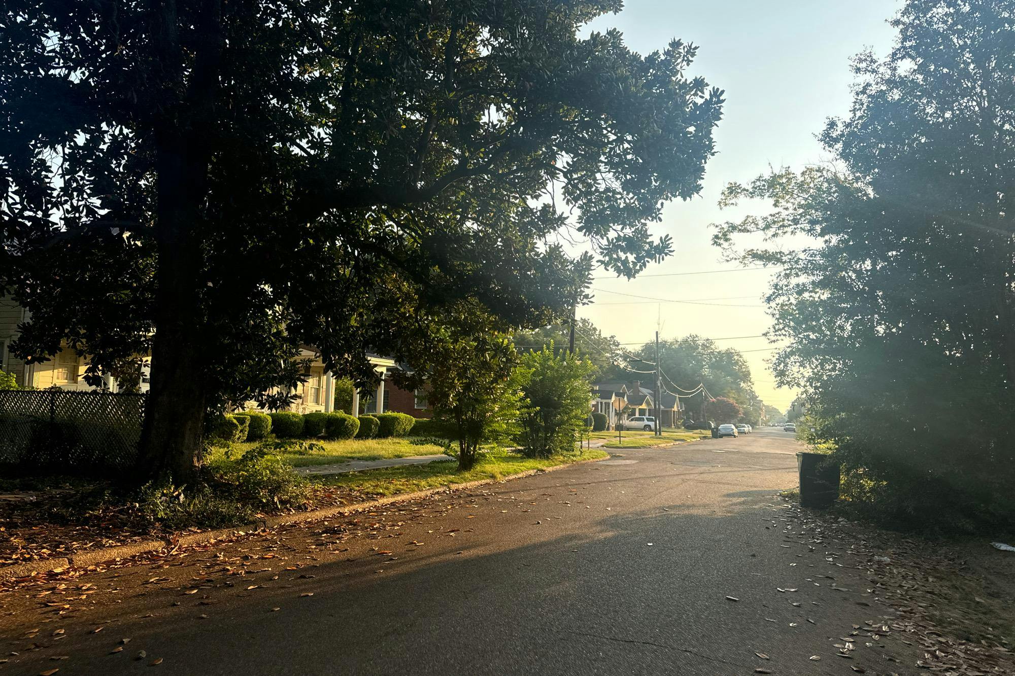 Market St, Greenwood, MS 38930