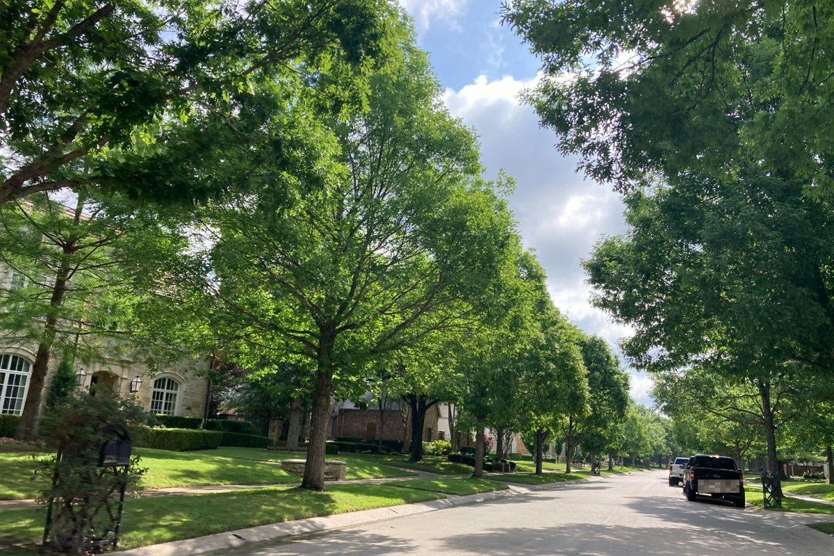 Hawthorne Ave, Colleyville, TX 76034
