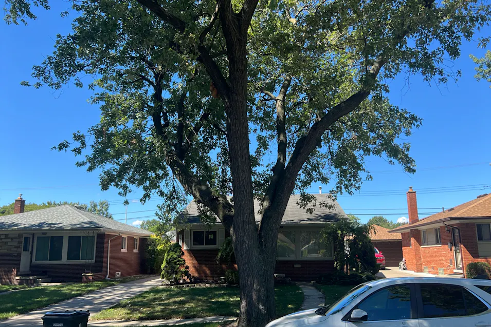 24601 Wood St Saint Clair Shores, MI 48080, Macomb County