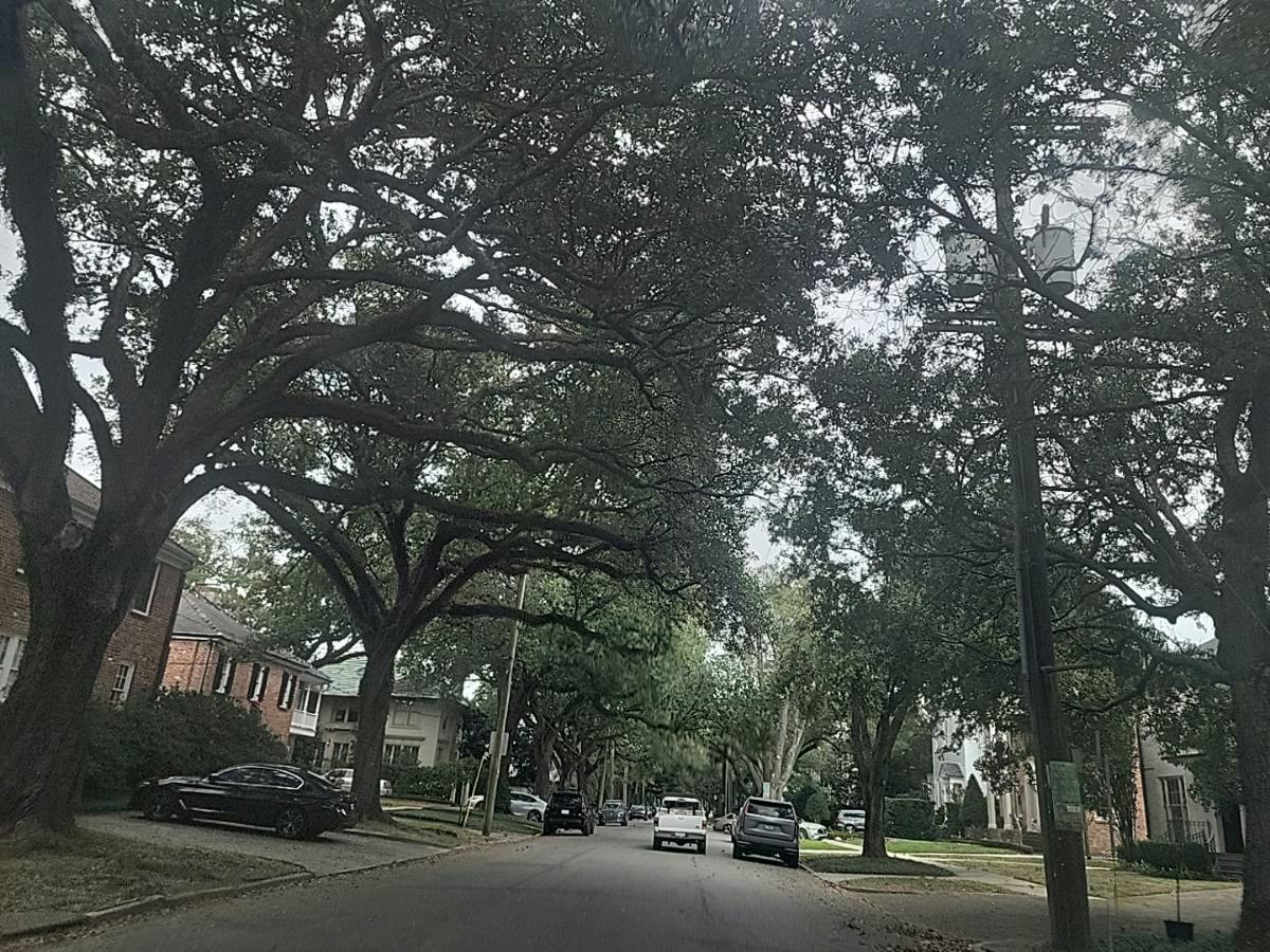 State St, New Orleans, LA 70118