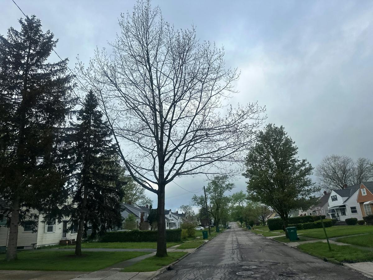 Fairway Ave, Maple Heights, OH 44137