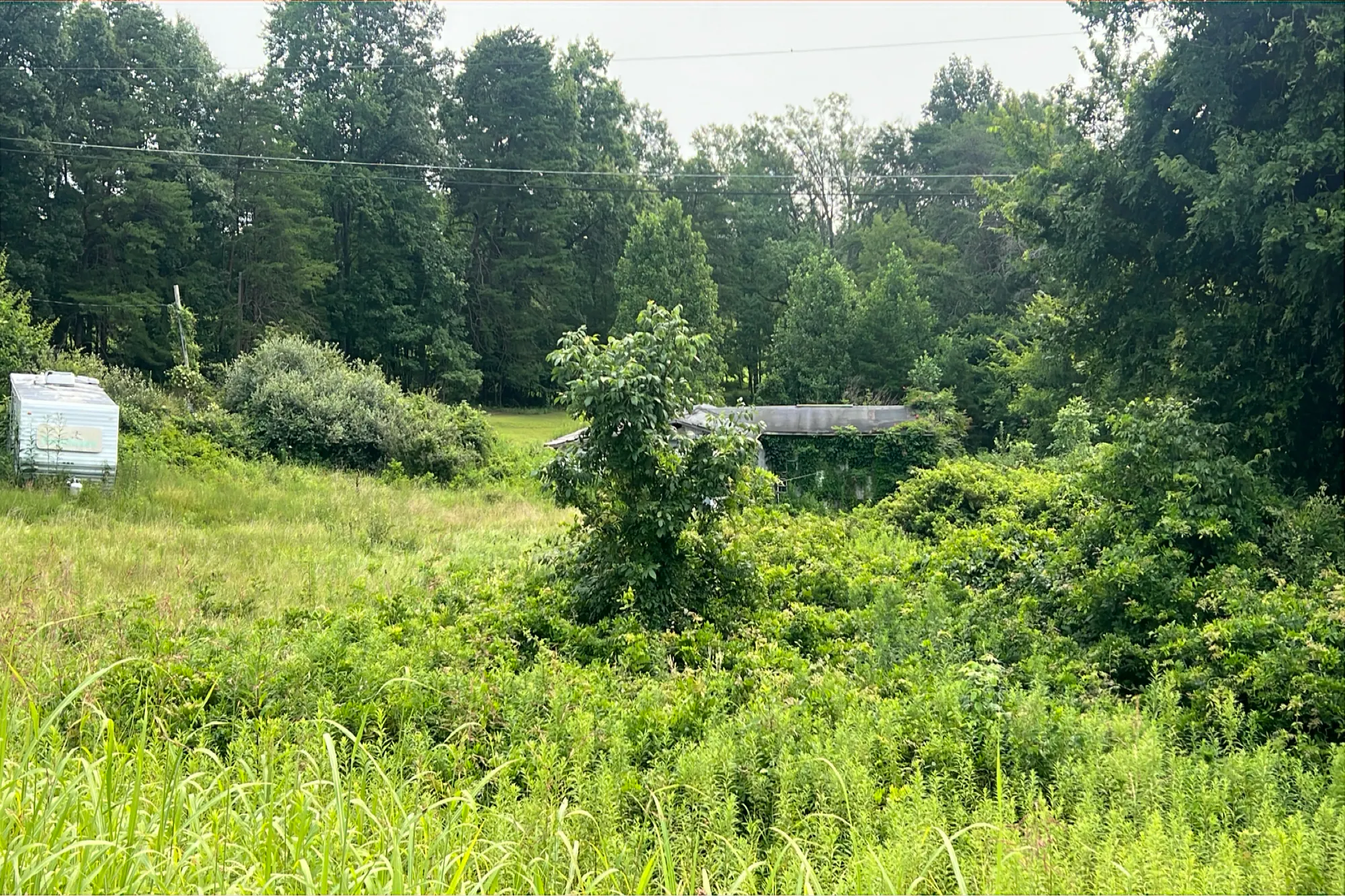 Brimstone Rd, Coolville, OH 45723 #1