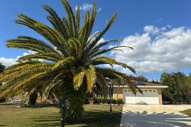 1005 E Penn Rd Lehigh Acres, FL 33936, Lee County