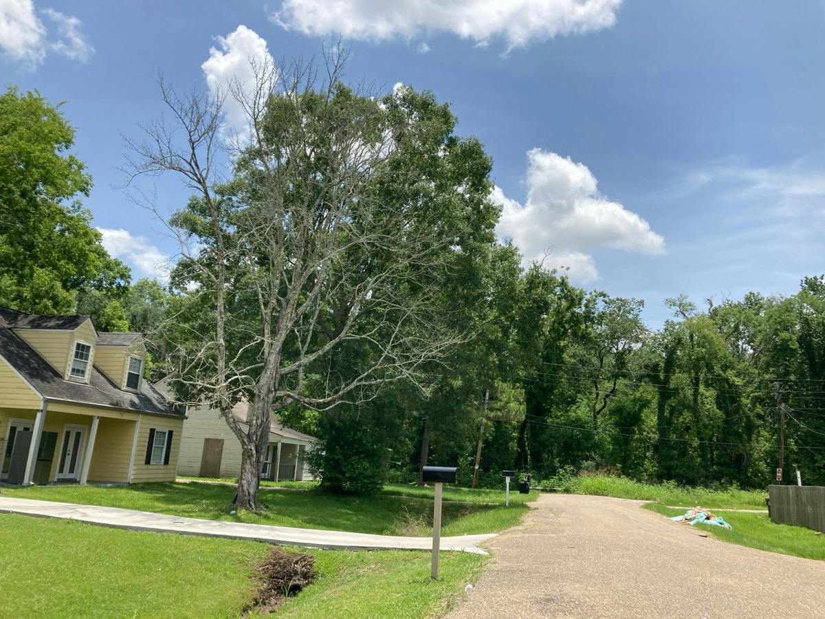 Tracey Lee Dr, Baton Rouge, LA 70820