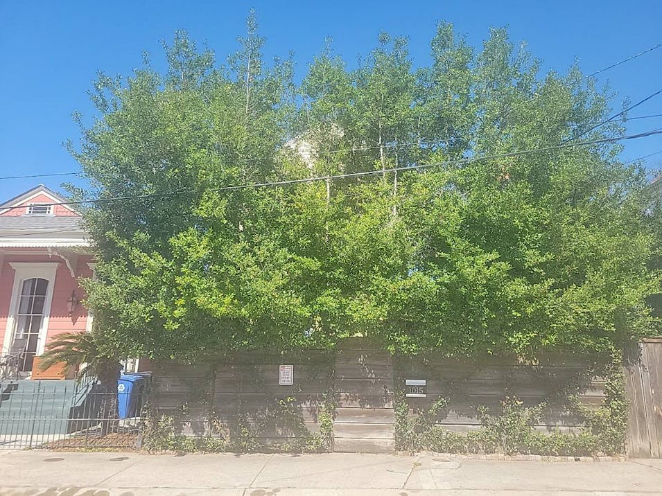 1015 Melpomene St New Orleans, LA 70130, Orleans County